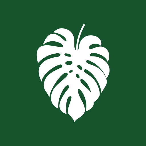 Splash Screen Icon Brasilidade